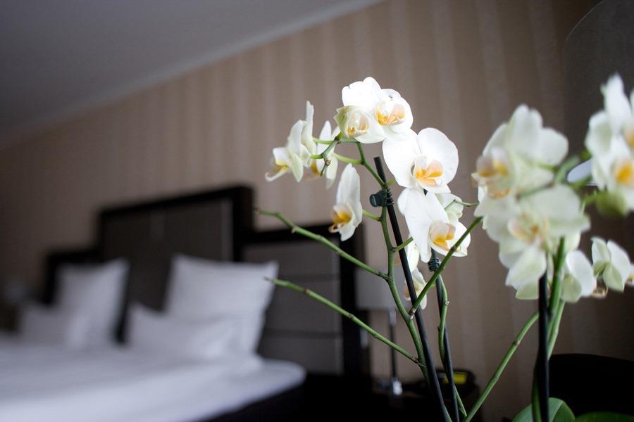 Top Hotel Kraemer Κόμπλεντς Δωμάτιο φωτογραφία